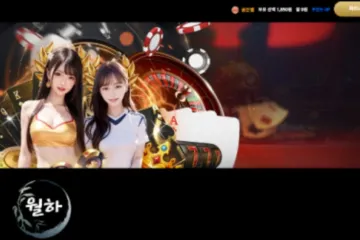 월하카지노 먹튀 신고 이력